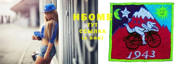 дживик Каменка