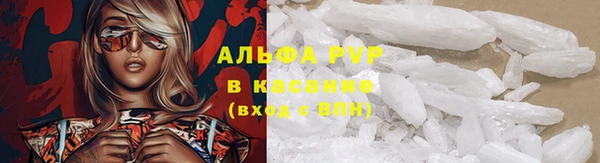 дживик Каменка