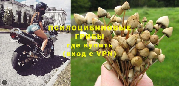 mix Каменногорск