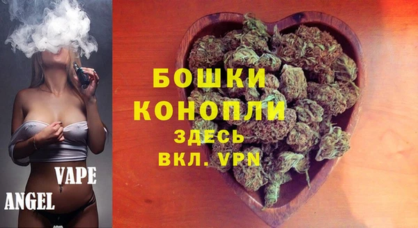 дживик Каменка