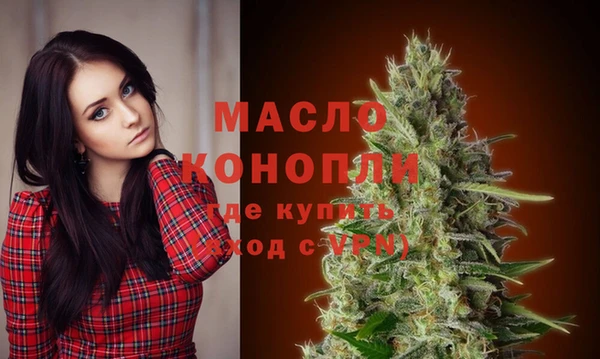 дживик Каменка