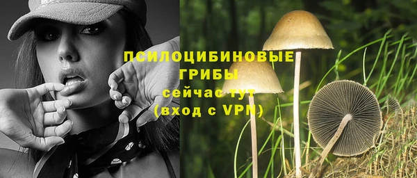 дживик Каменка