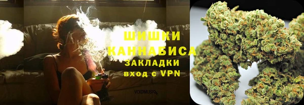 дживик Каменка
