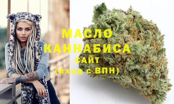 дживик Каменка