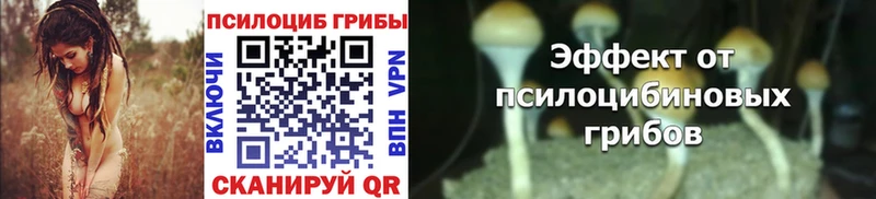 Купить  Верхний Уфалей  Галлюциногенные грибы Cubensis 